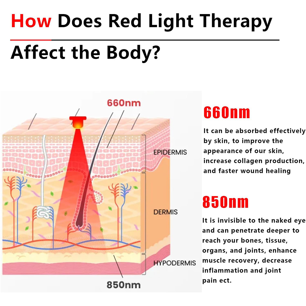2025 Baru 60 LED Merah dan Cah - Galvanic Skin Sensor ulasan dan harga